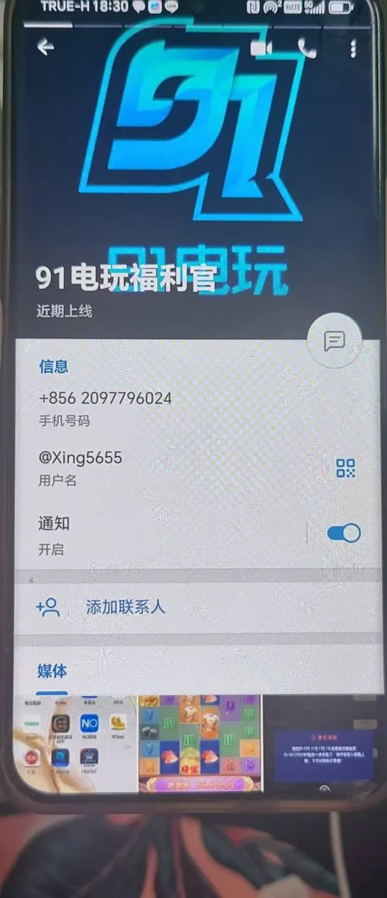 91电玩骗子平台与NO钱包进行勾结骗钱